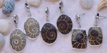 Load image into Gallery viewer, Fossilized Ammonite Earrings in Sterling Silver