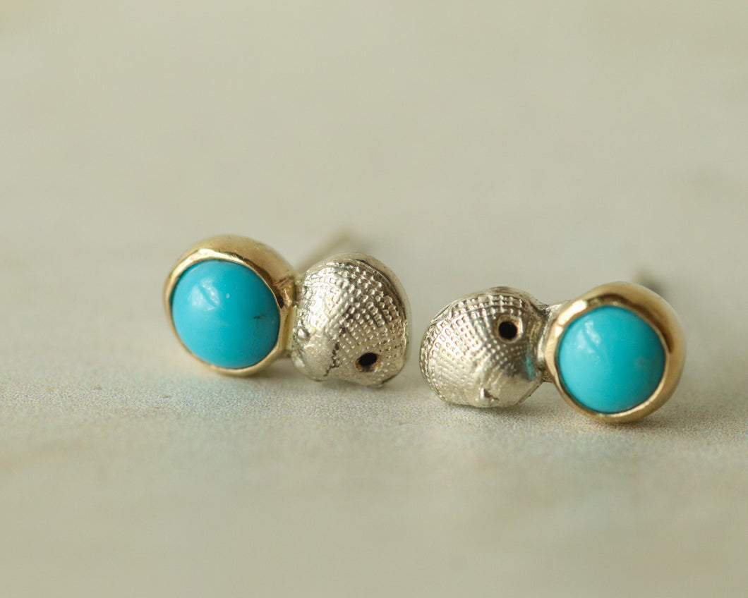 Turquoise Shell Studs in Gold and Silver