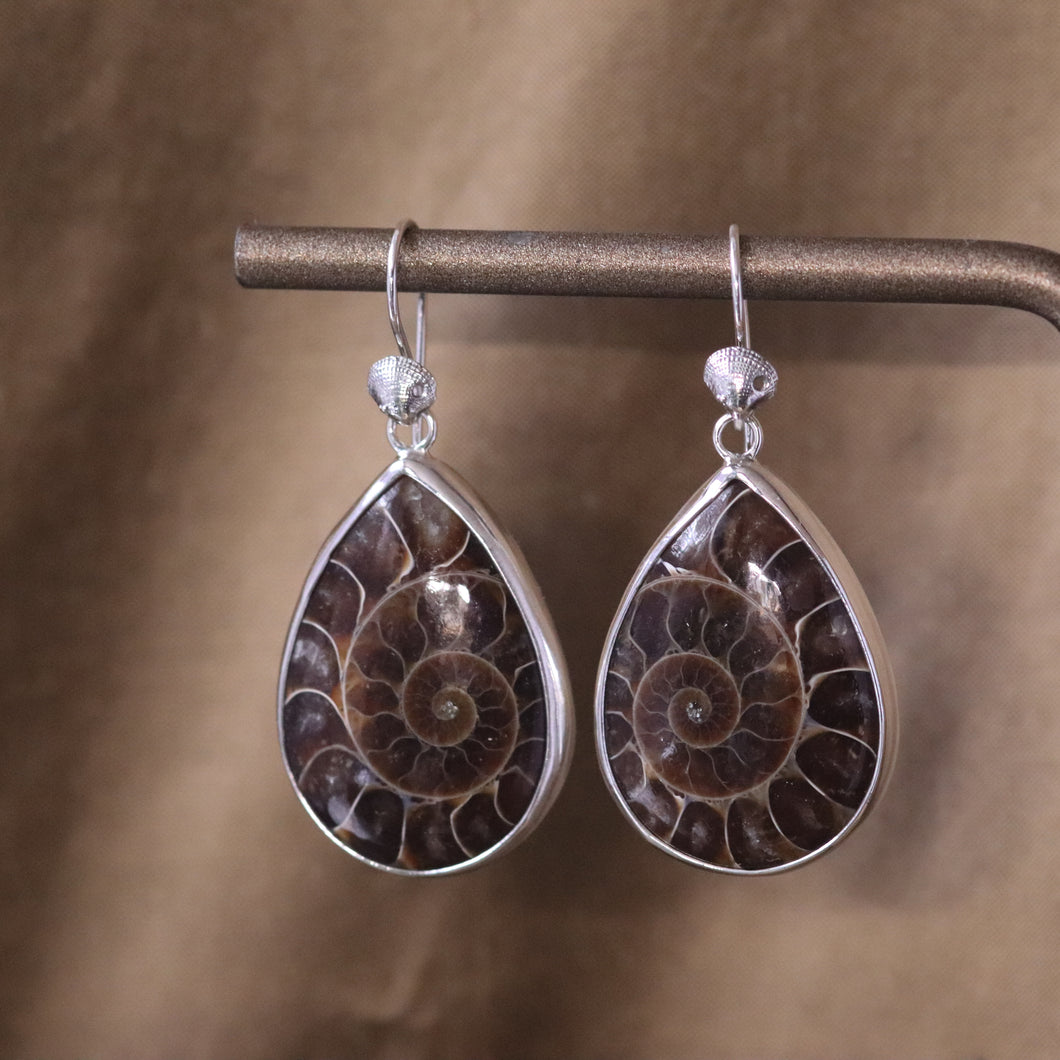 Fossilized Ammonite Earrings I in Sterling Silver