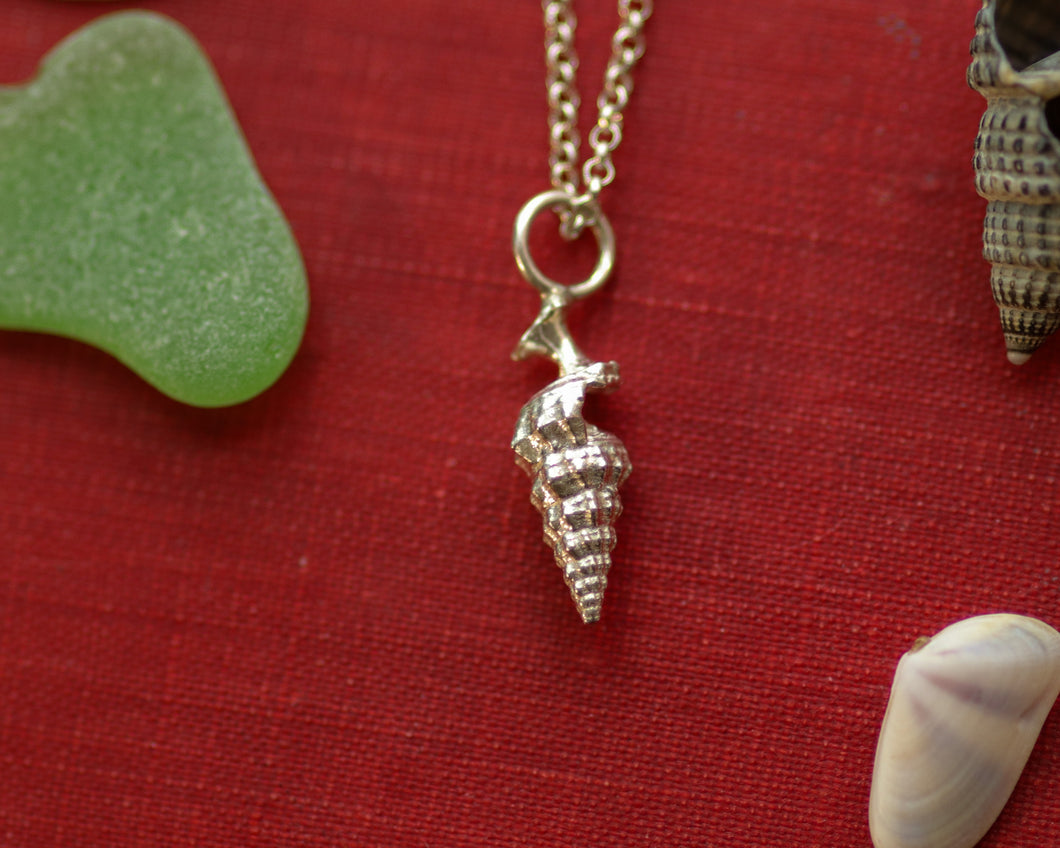 Auger Shell Necklace