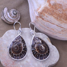 Load image into Gallery viewer, Fossilized Ammonite Earrings I in Sterling Silver
