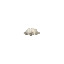 Load image into Gallery viewer, Sterling Silver Engraved Ginkgo Leaf Ring
